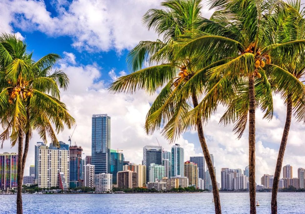 Miami,,Florida,,Usa,Tropical,Downtown,Skyline.